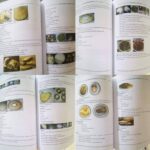 WhatsApp Image 2025-09-22 at 14.47.29